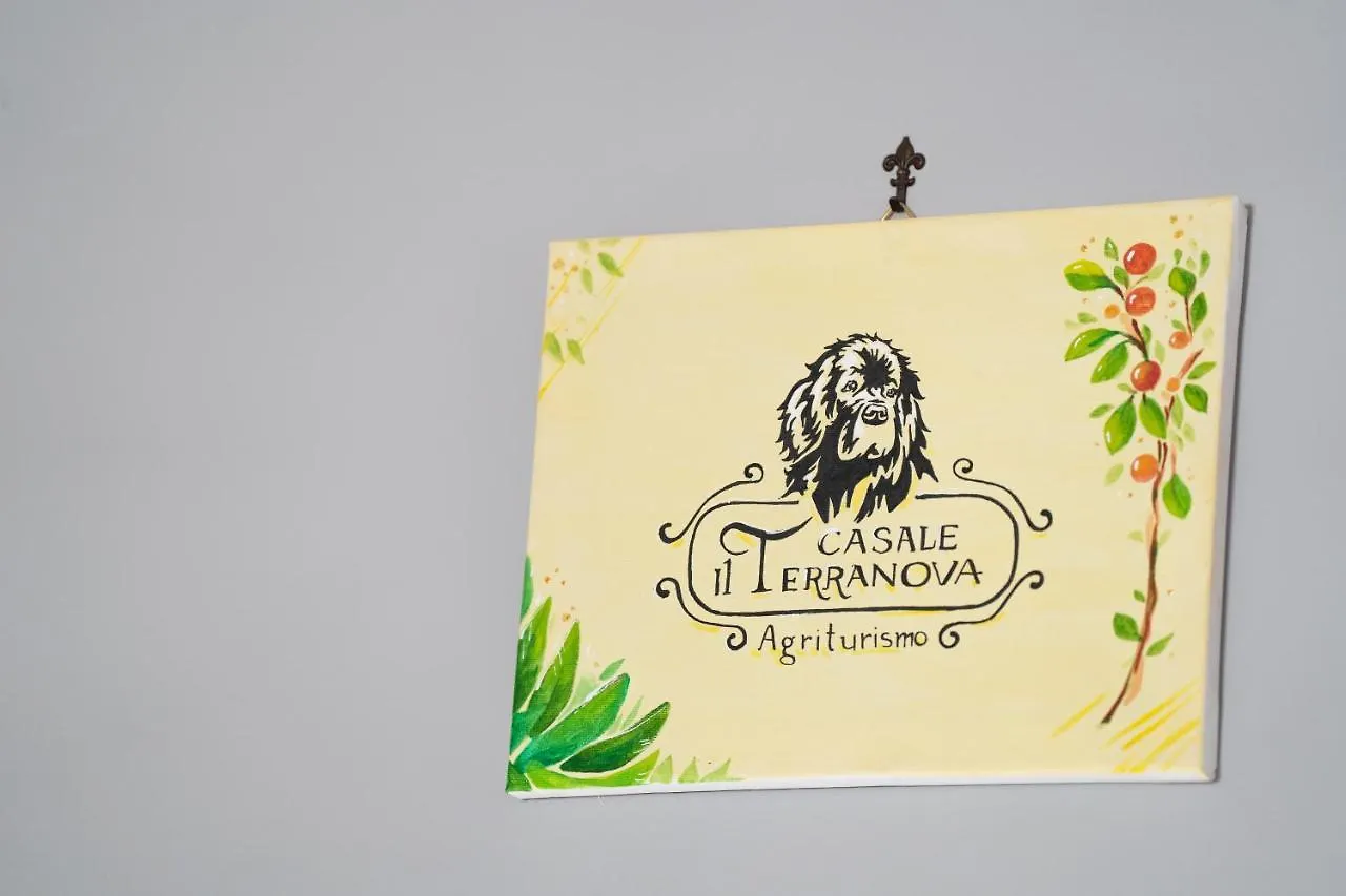 Casa de Férias Casale Il Terranova Vila Cortona Itália