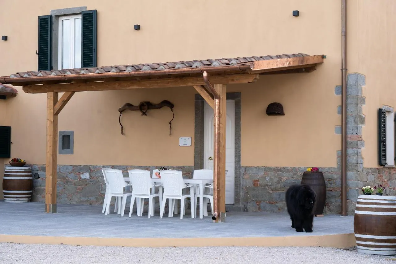 Holiday home Casale Il Terranova Villa Cortona